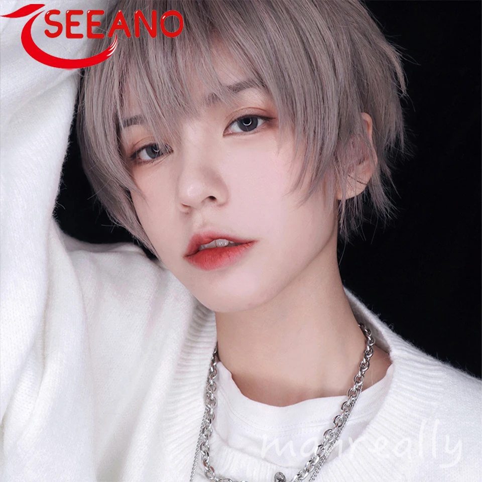 SEEANO Short Men Wig Straight Synthetic Wig for Male Hair Fleeciness Realistic Natural Brown Toupee Wigs Cosplay Party Daily Wig