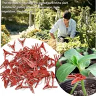 Прочные клетки для цветов и поддержки растений, 50 шт., многоразовые пластиковые металлические прививочные зажимы для овощей, сельское хозяйство, инструменты, поддержка s