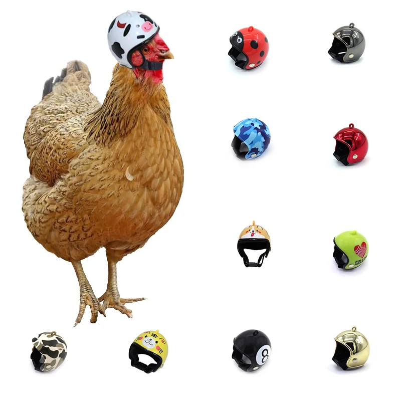 

1Pc Chicken Helmet Small Pet Hard Hat Bird Quail Pigeon Hat Headgear Pet Bird Helmet DIY Cartoon Character Helmet Pet Supplies