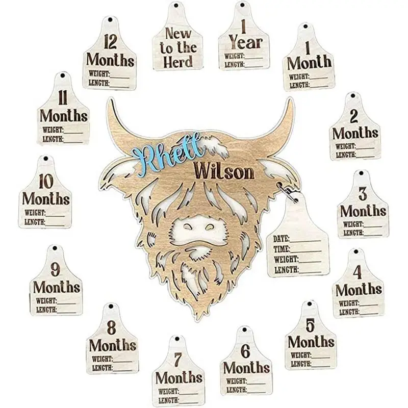 

Highland Cow Monthly Milestone Wooden Highland Cow Milestone Mark Infant Record Tags 15 Pcs New Cow Babies Gift New To The Herd