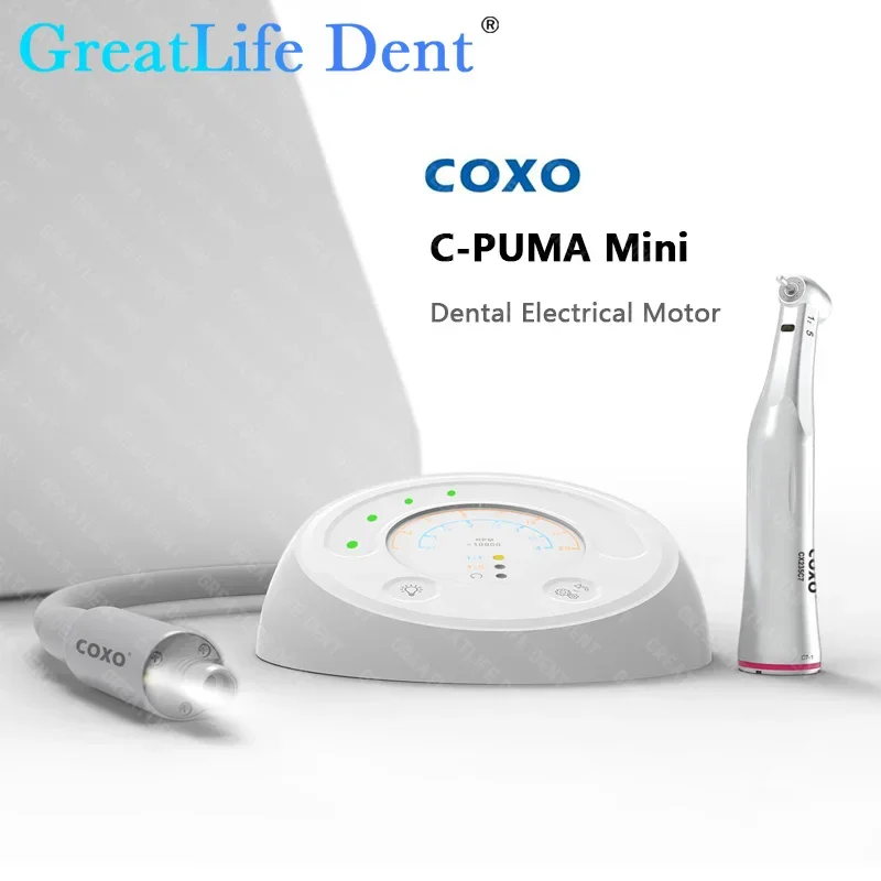 GreatLife Dent COXO C-Puma Mini Электрический бесщёточный с мотором 1:1 эндододонтический