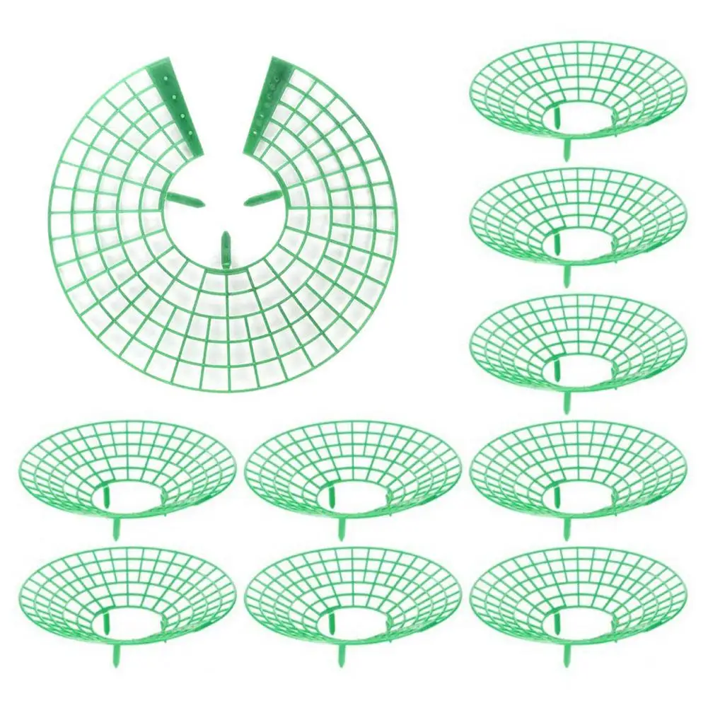 10 шт. пластиковые квадратные подставки для клубники