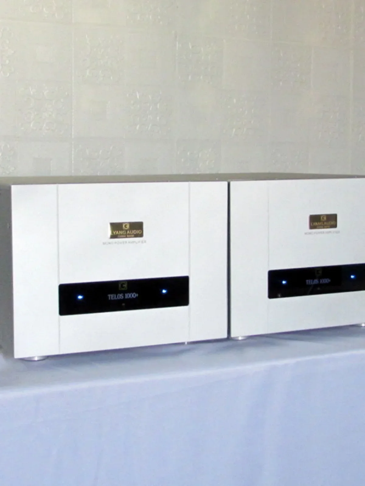 AMXEKR Goldmund Telos 1000 Line 800 Вт * 2 класс A и B полностью сбалансированный разделенный