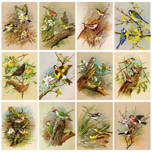 CHENISTORY Oil Painting By Numbers Handpainted Markers By Numbers Birds
On Trees Number Painting Home Decoration Gift