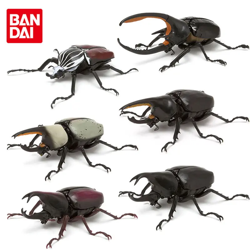 

Bandai The Diverysity of Life on Earth Simulation Giant Insect Beetle 03 Joints Movable Anime Action Figure Gacha Toys Ornaments