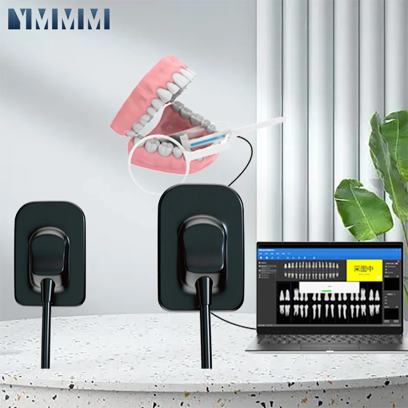 Стоматология Портативный рентгеновский датчик Radiovisograph Рентгеновский