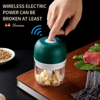 electric garlic beater complementary food cooking garlic stirrer household portable garlic masher usb minced meat grinder