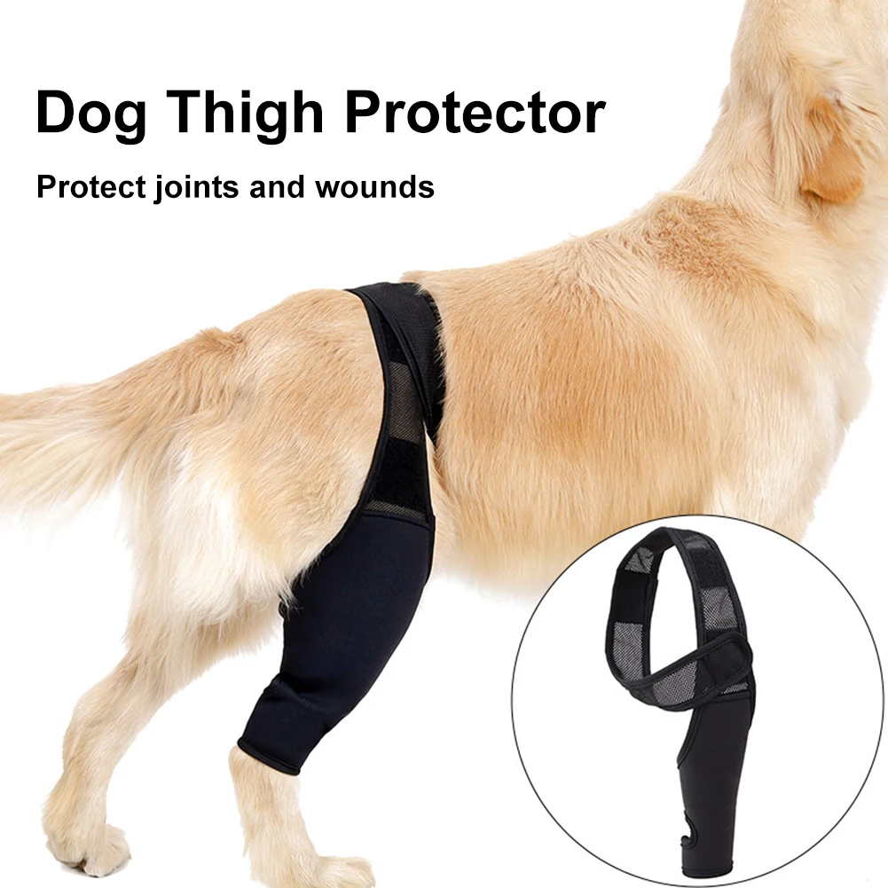 Dog Surgical Injury Recover Fixed Knee Pads Support Cat Brace Pet Protector Pain Relief Feet Cover Leg Joint Wrap Dog Acces