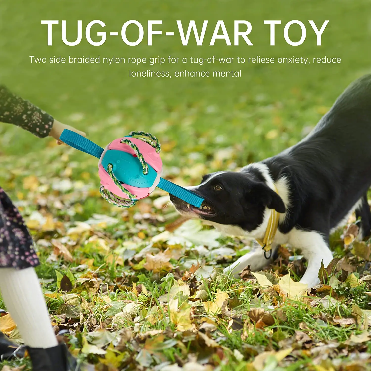 Жевательные мячики для собак игрушка упражнений на открытом воздухе боевые