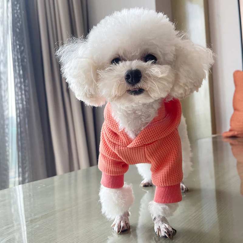 

Одежда для собак, толстовка, комбинезон, одежда для маленьких собак, кошек, теплая осенне-зимняя куртка для щенков, костюм чихуахуа, одежда д...