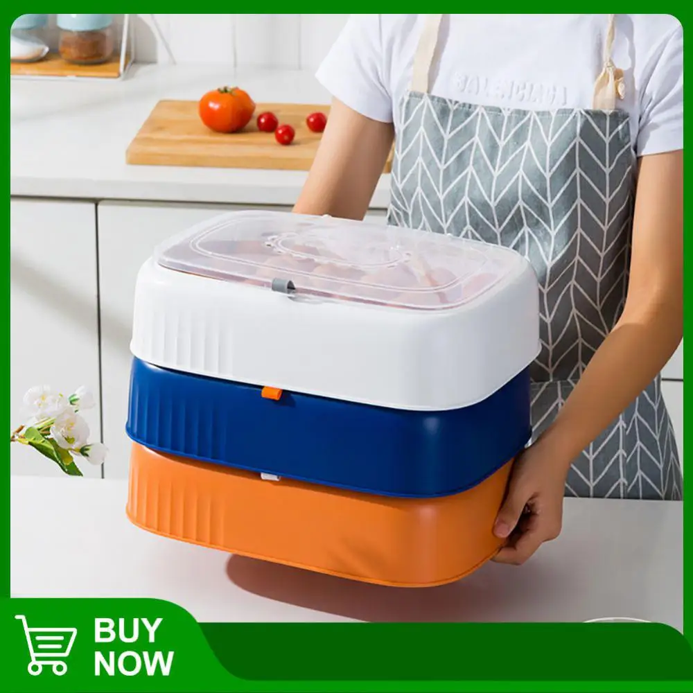 

Egg Rack Holder Fresh-keeping Transparent Refrigerator Egg Dispenser Independent Non-slip Grooves Refrigerator Egg Box Anti-drop