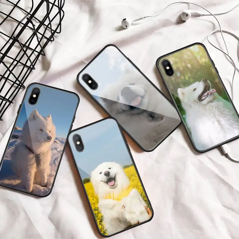 

Cute animal dog Samoyed Puppy Phone Case Tempered glass For iphone 6 7 8 plus X XS XR 11 12 13 PRO MAX mini
