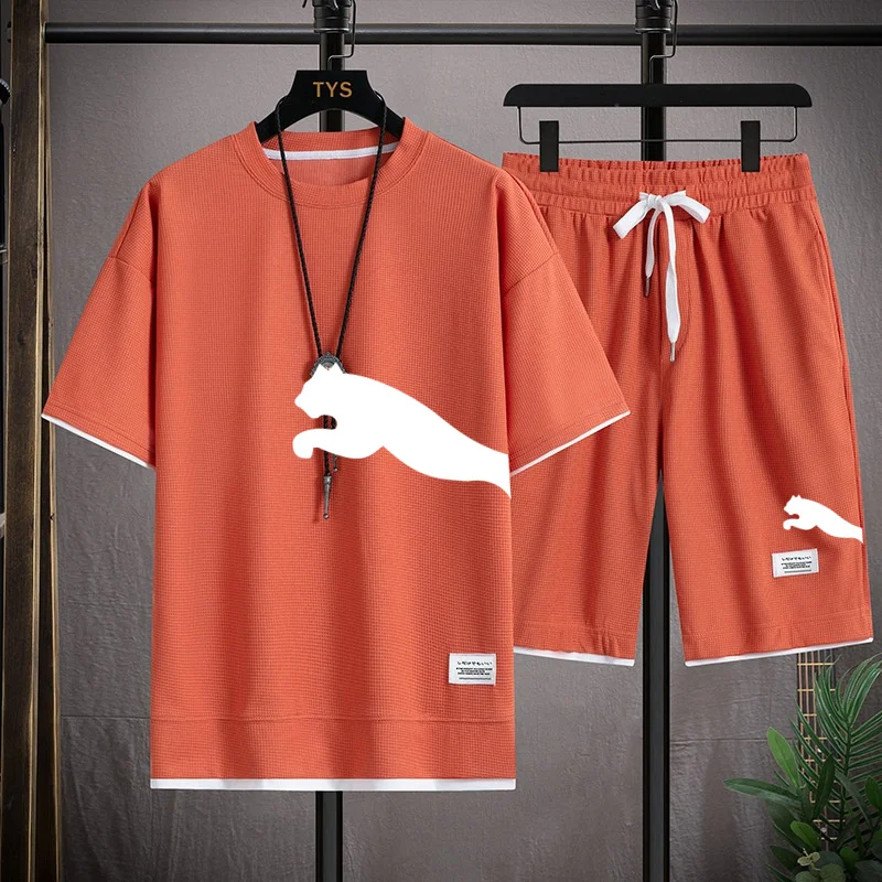 Men's Sportswear Short Sleeve T-shirt And Shorts Korean Tracksuit Men's Casual Clothing Joggers Sets Summer Fashion