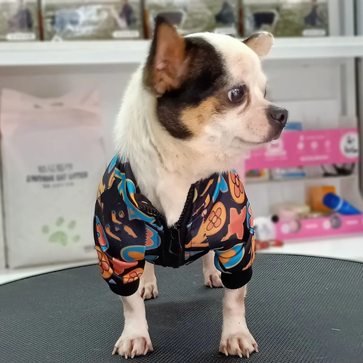 

Fashion Dog Jacket B1847