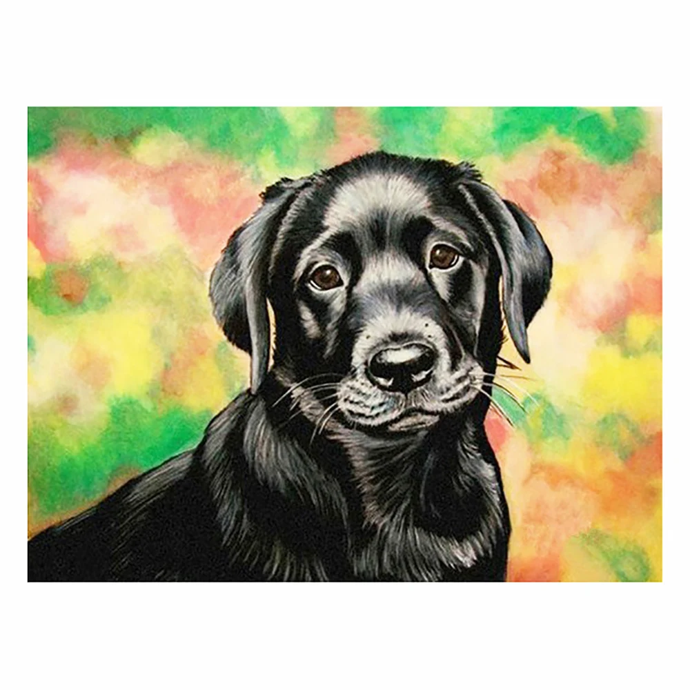 

5D Diamond Painting Street Full Square Round Diamond Black Dog Embroidery Picture Home Decoration