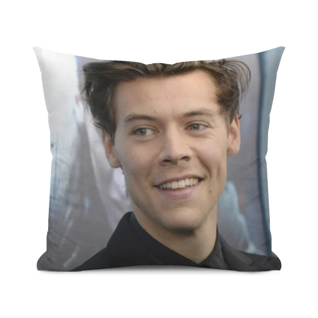 Pillow-Cover-Customize-Harry-Style-Pillowcase Modern Home Decorative Pillow Case For Living Room