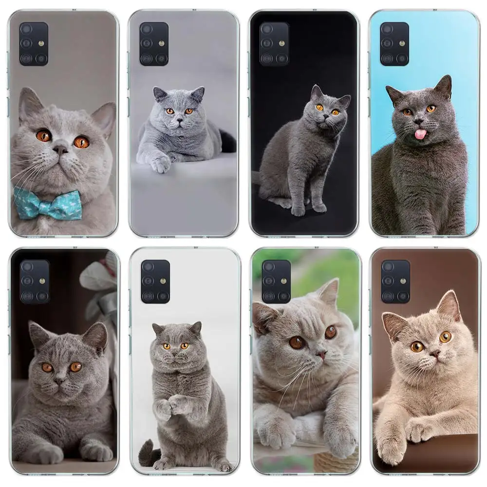 

British Shorthair Cat Case Funda For Samsung Galaxy A51 A71 A42 5G A50 A70 A30 A40 A10S A20E A91A6 A7 A8 A9 Phone Cover Coque