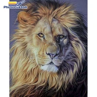 photocustom paint by numbers lion drawing on canvas diy pictures by number animals kits hand painted painting art gift home deco