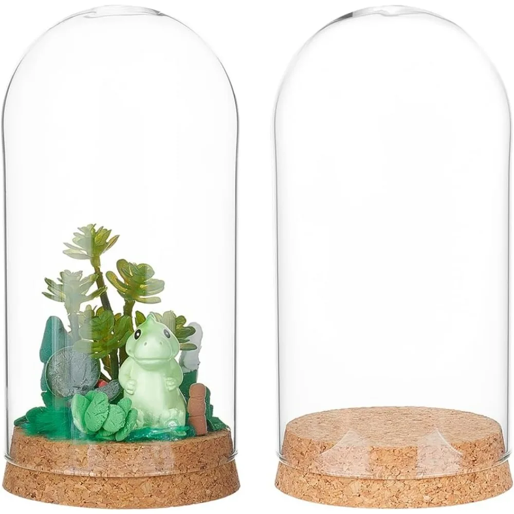 Комплект стеклянных куполов для цветов 2 шт