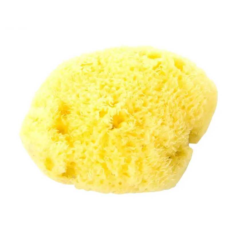 

1pc Natural Sea Sponges for Artists Unbleached Painting Sponges Sponging Tool