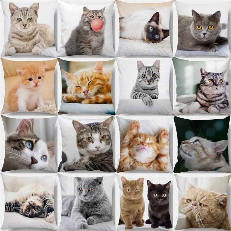 

Lovely Pet Cat Pillow Cases Sleeping Bubble Black Cats Animal Cushion Cover Sofa Living Room Home Decorative Custom Pillowslip