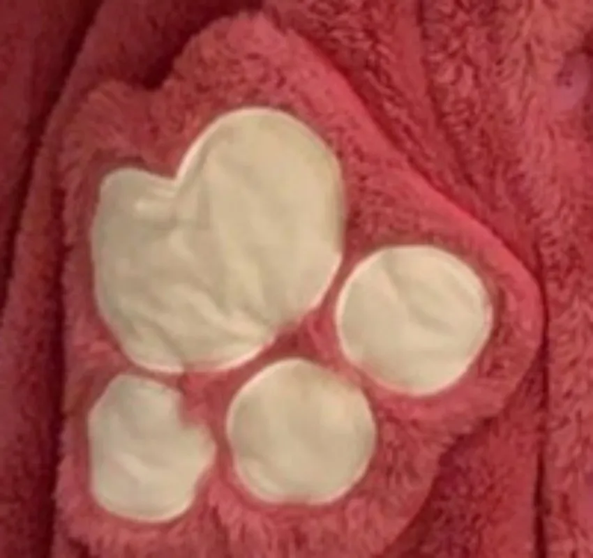 Girl Winter Thin Nightgown Length To Shank Polyester Warm Comfortable Strawberry Bear Leisure Wear With A Hat And Paw Pocket