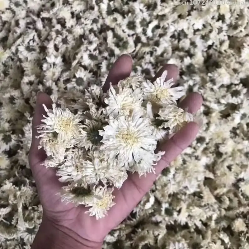 Натуральные Сушеные хризантемы Feverfew розлив подушек сделай сам