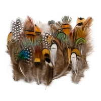 50pcs wholesale natural peacock pheasant feathers for crafts jewelry making accessorie wedding decoration dream catcher plumes
