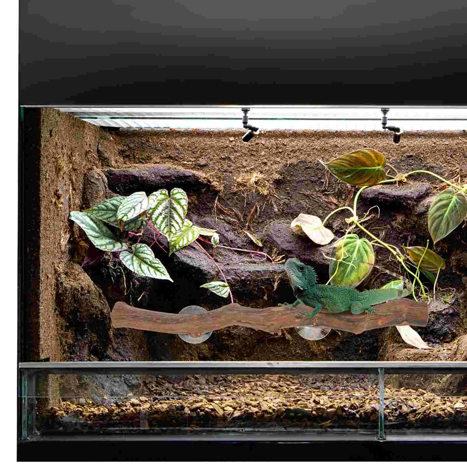 Украшение Для Рептилий Подставка Домашних Животных В Форме Ящерицы Деревянное