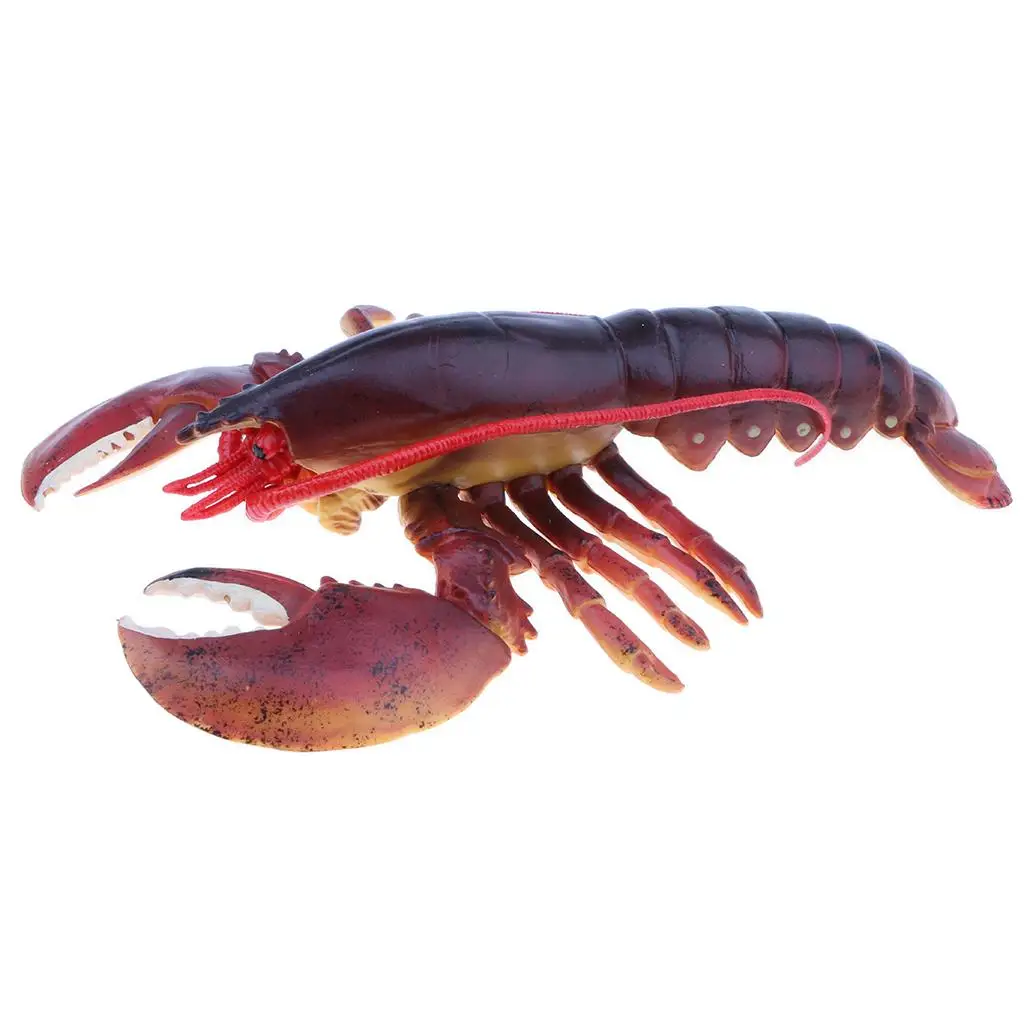 

Animal Model Figurine Toy , Birthday Gift Home Decor - 9'' Red Lobster