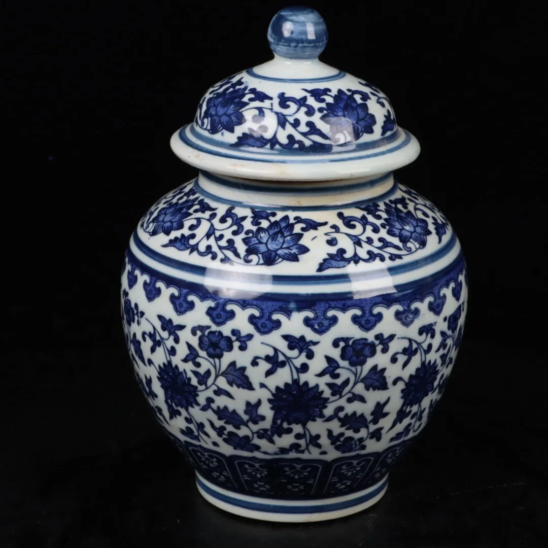 

Exquisite Blue And White Lotus Patterned General Jar Decoration