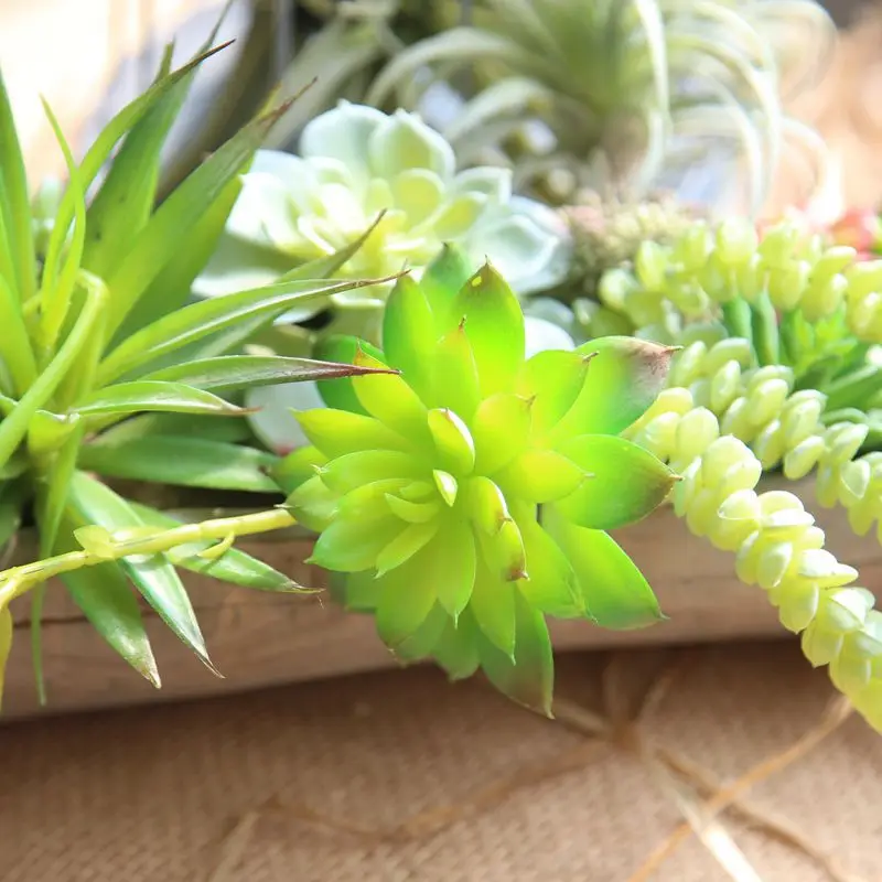 Микроландшафтные Искусственные суккуленты растения трава пустыня