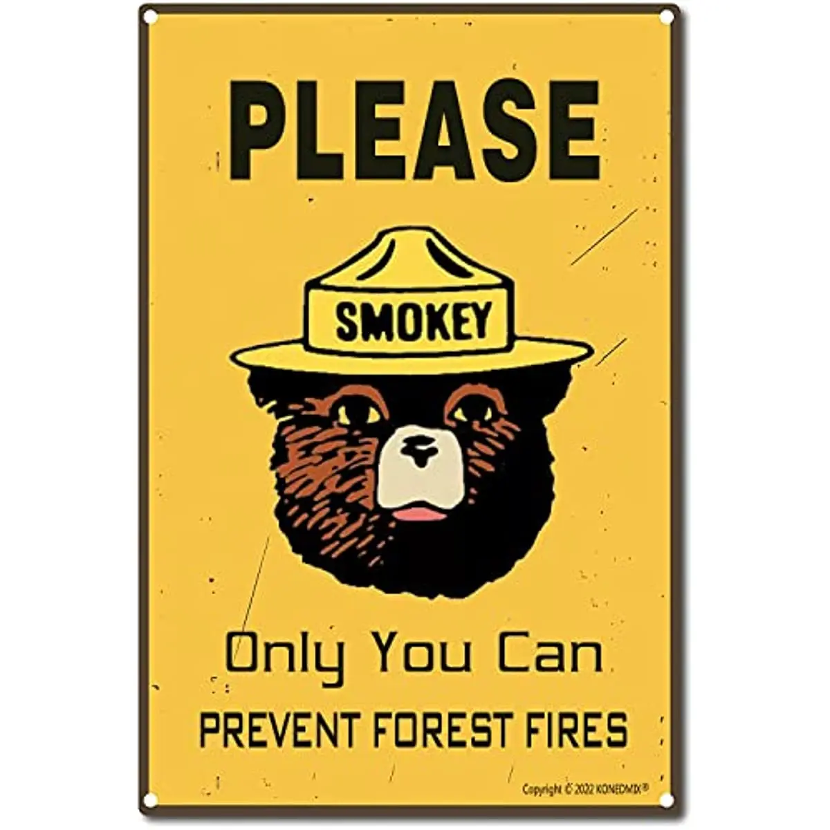 

Жестяной знак «пожалуйста», только медведь Smokey, вы можете предотвратить пожар в лесу, винтажный Ретро Фотофон, Настенный декор, плакат для дома