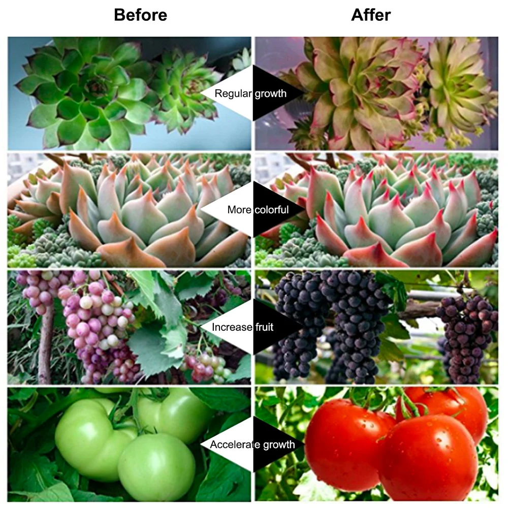 Рисунок 5 - Светодиодная лампа для выращивания растений