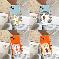 cute cat eats ice cream phone case orange and blue for apple iphone 12pro 13 11 pro max mini xs x xr 7 8 6 6s plus se 2020 cover