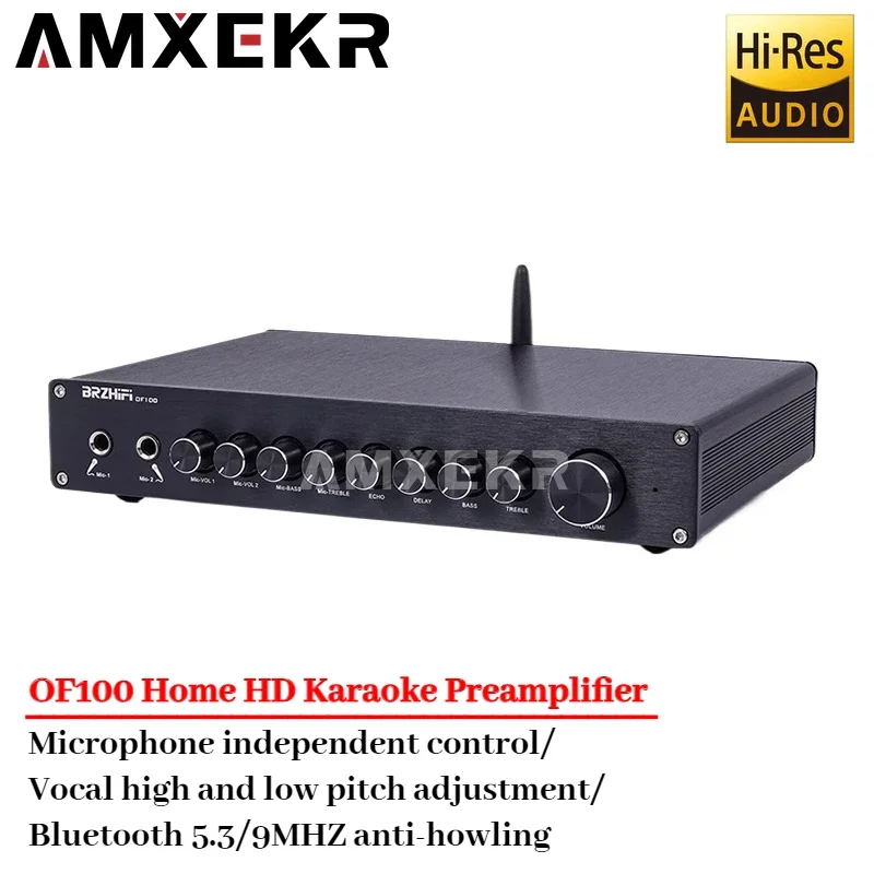 OF100 Профессиональный KTV Home HD Караоке-предусилитель Эффекторный микшер Анти-вытие