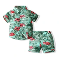 2piece summer baby clothes toddler boy outfits casual beach print short sleeve cotton t shirtshorts kids clothing set bc2197