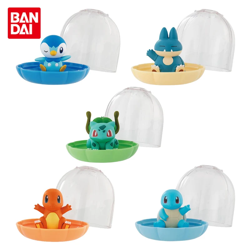 

Bandai genuine Pokemon storage box sitting doll Squirtle Venusaur Charizard action figure model kids gift anime gashapon