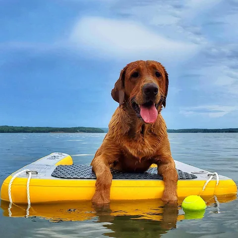 Унисекс Inflat le Stand-Up Paddle Board Аксессуар Прямая с фабрики Дешевая цена SUP Board Water Ramp Материал для вышивки падениями