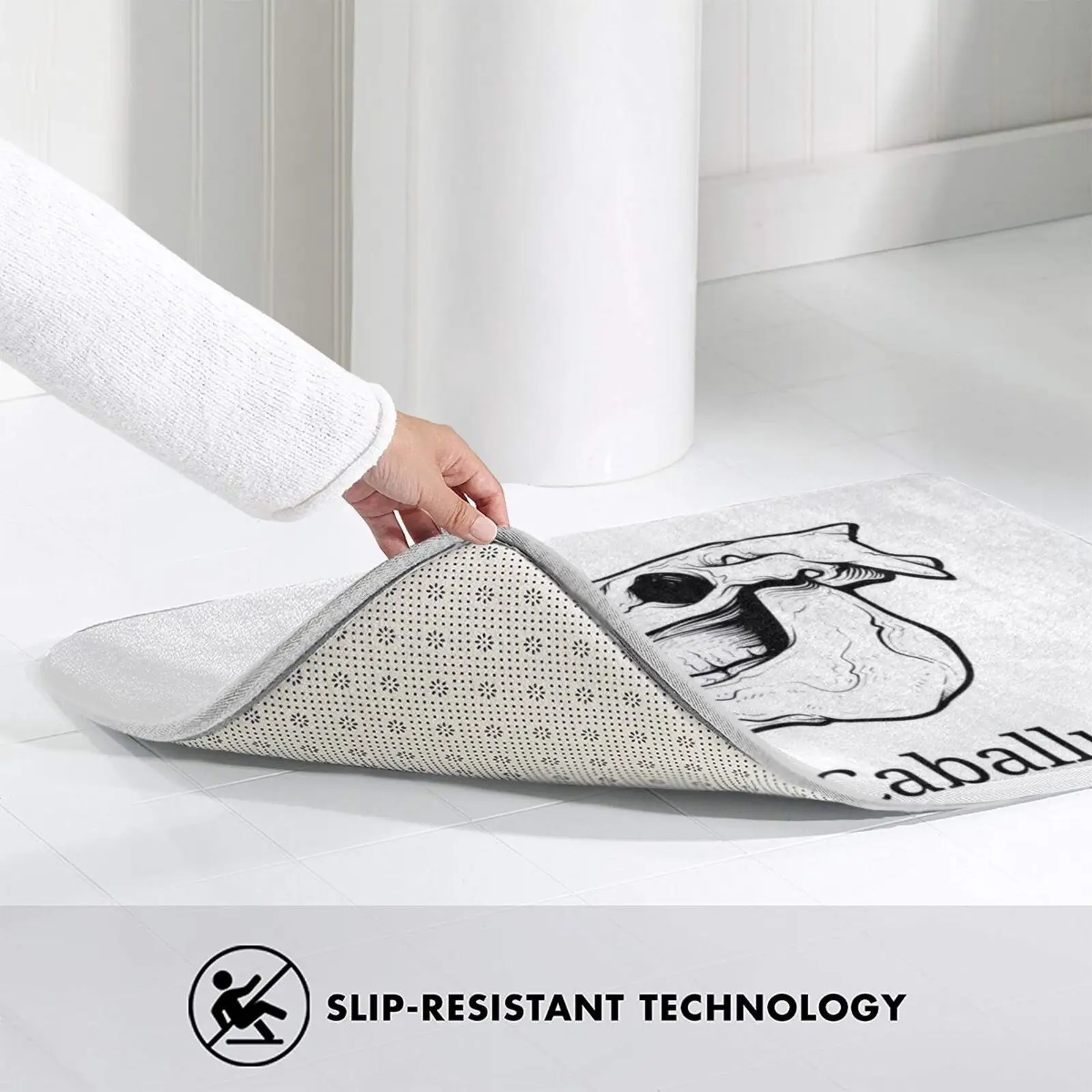 Череп лошади-Анатомия эквина-ветеринарный студенческий дизайн. Мягкий