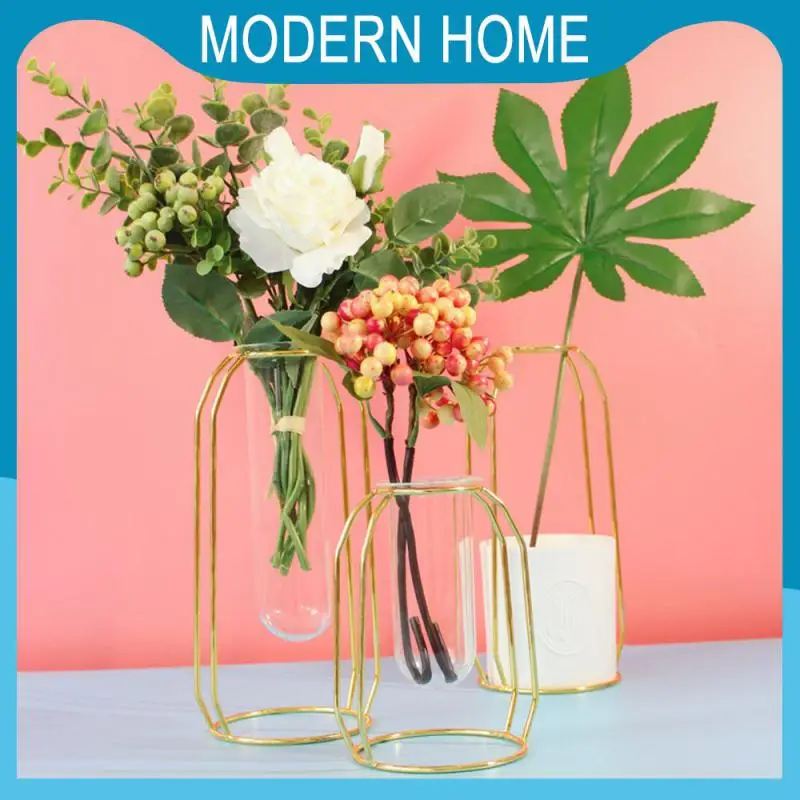 

Home Decoration Vase Hydroponic Plant High Quality Glass Tube Vase Metal Geometric Flower Vase Room Decor Plant Holder Art Decor