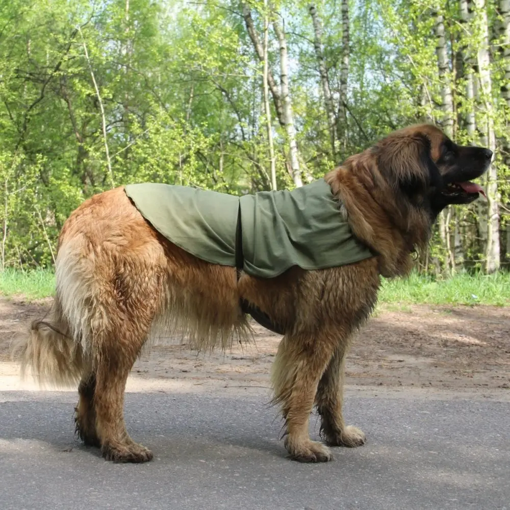 Охлаждающая попона для собак OSSO Fashion размер 80 | Дом и сад