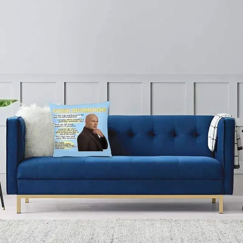 Современная декоративная наволочка для подушки в виде картинки Мистер по всему