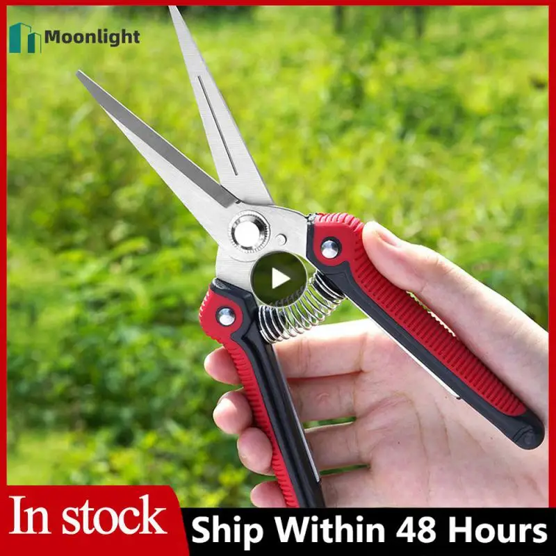 

Powerful Strong Scissors High Carbon Steel Picking Fruit Scissors Home Furnishing Comfortable Grip Garden Scissors Black Tool