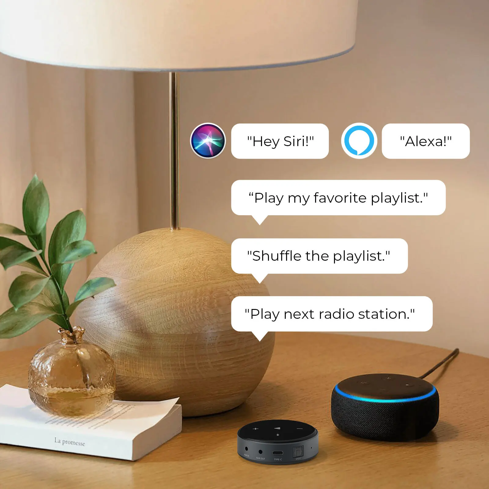 Беспроводной мини-приемник Wiim с поддержкой Wi-Fi и Bluetooth |