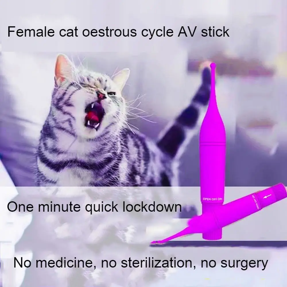 

Игрушка для кошек, электрическая игрушка для кошек, игрушка для съемки кошек, съемная палочка для кошек