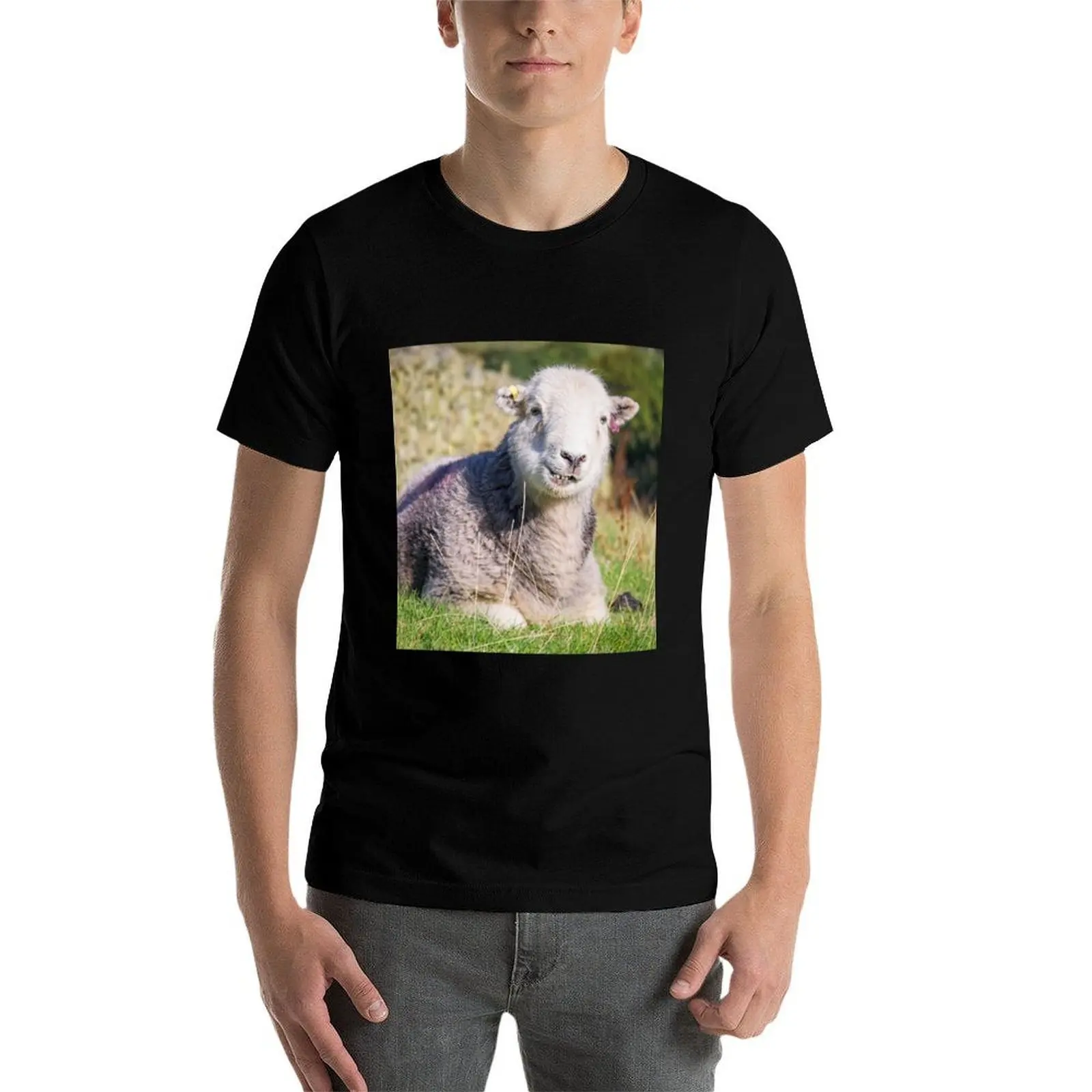 Фото Футболка Happy Herdwick Sheep, Lake District, повседневная базовая футболка в уличном стиле №3