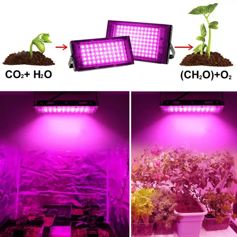 

50w 200w Full Spectrum LED plant lamp Grow Light growing lighting Phyto For Greenhouse Hydroponic Plant Growth growtbox tent C1