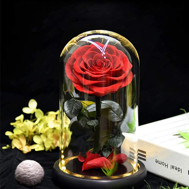 

AT69 -2X Rose That Lasts Eternal Forever Preserved Flower in Glass Dome Lamp for Valentine's Mother's Day Gift Box,Red