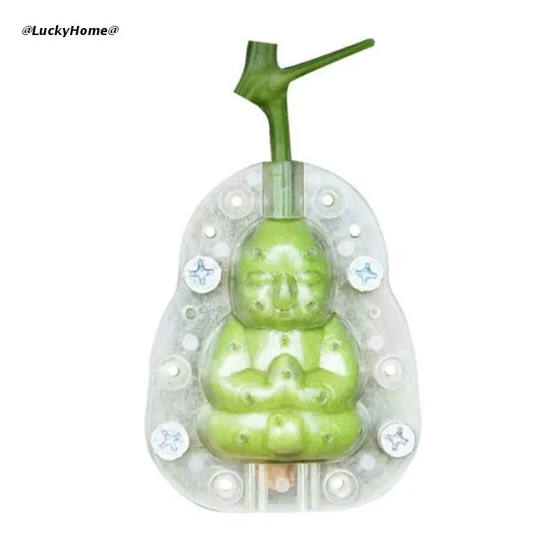 

Reusable Shaping Mold Plastic Anti-deformed High Toughness Buddha-shaped Fruits Forming Moulds Durable Farmland Supplies